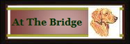 At The Bridge