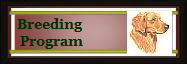 Breeding 
Program
