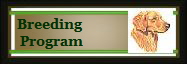 Breeding 
Program