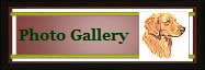Photo Gallery