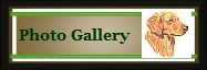 Photo Gallery
